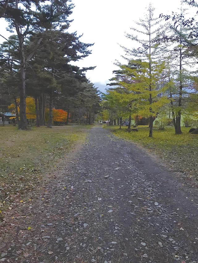 枯れ葉の山道